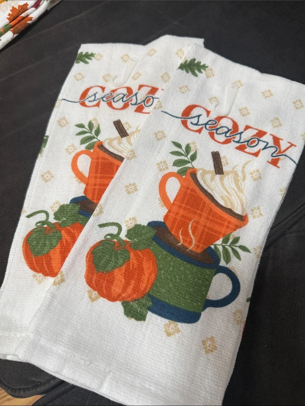Fall Themed Dish Towls - SET IF TWO